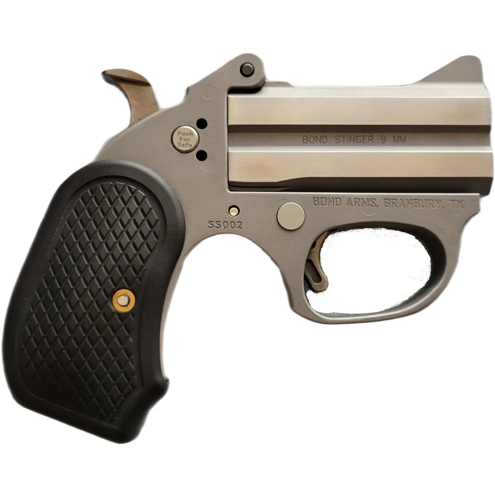 Bond Arms Honey-B .38 Special Derringer - 2 Rounds | 3" Barrel | Stainless/Silver