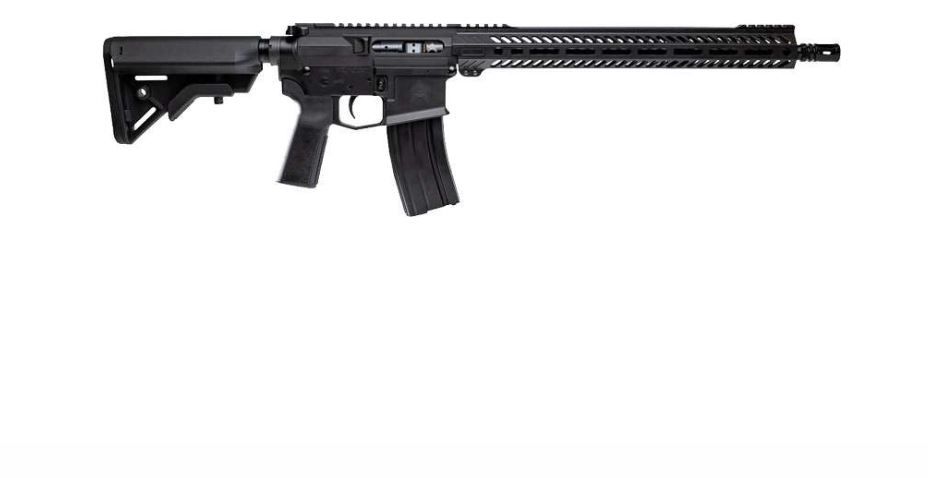 ANGSTADT UDP-300 RIFLE .300 Black - 30 Rounds | 16" Barrel | Polymer Black Stock | Synthetic | Blue/Black