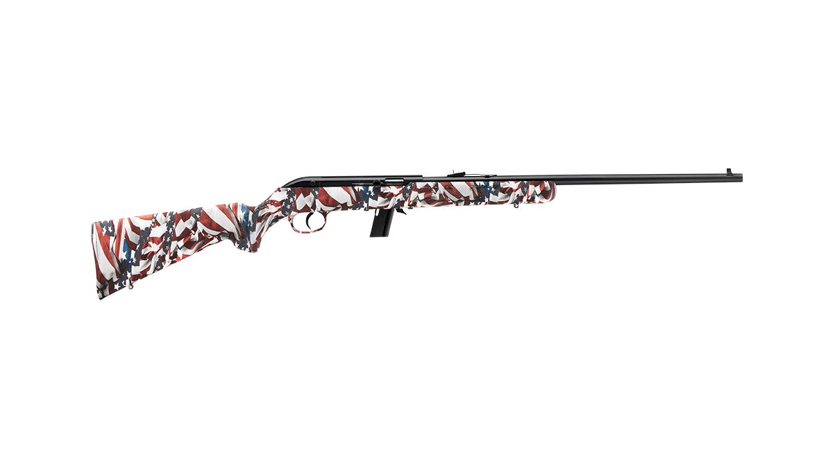 Savage 64F .22LR Semi-auto Rifle - 10+1 Rounds | 21" Barrel | Synthetic | Blue/Black