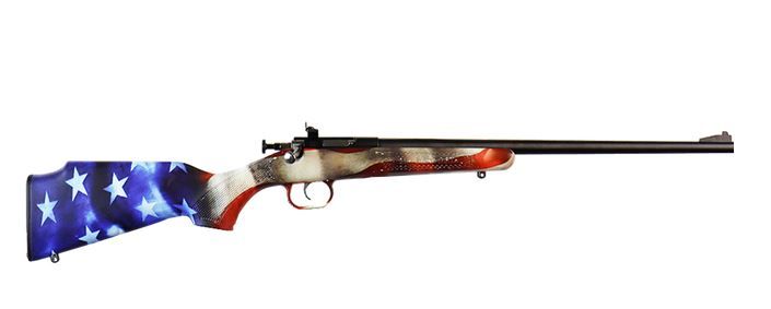 Crickett Youth One Nation Flag/Blued 22 Long Rifle Bolt Action Rifle - 1 Round | 16.125" Barrel | Synthetic