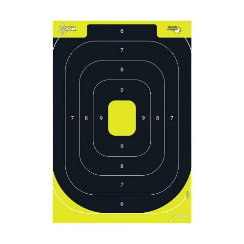ALLEN EZ AIM PAPER GRID TARGET 12 X 12 12 PA