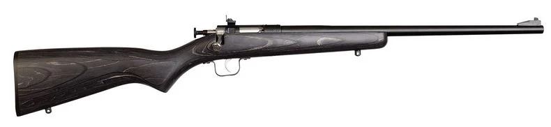 Crickett Black Youth 22 Long Rifle Bolt Action Rifle - 1 Round | 16.125" Barrel | Black Laminate Stock | Wood | Blue/Black